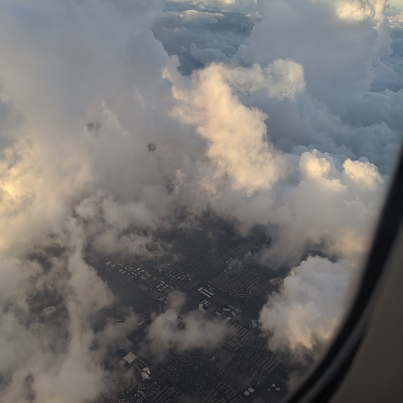 Meet your Posher, Cricket - Picture 2 of 2